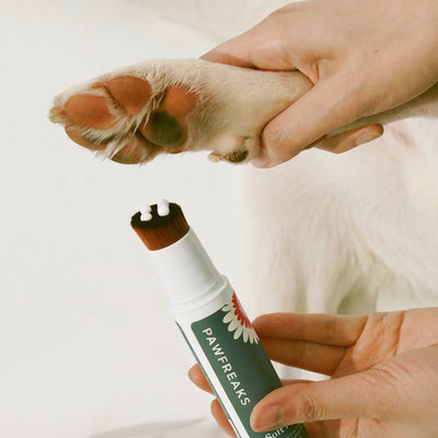The Everyday Pet's Ritual (For Cats & Dogs)