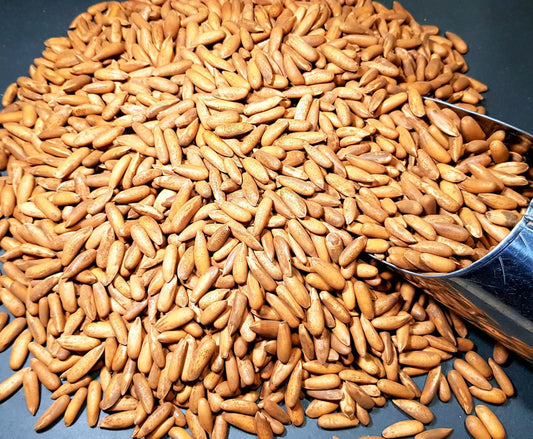 Chilgoza ( A Quality)