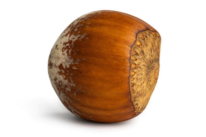 Hazelnuts